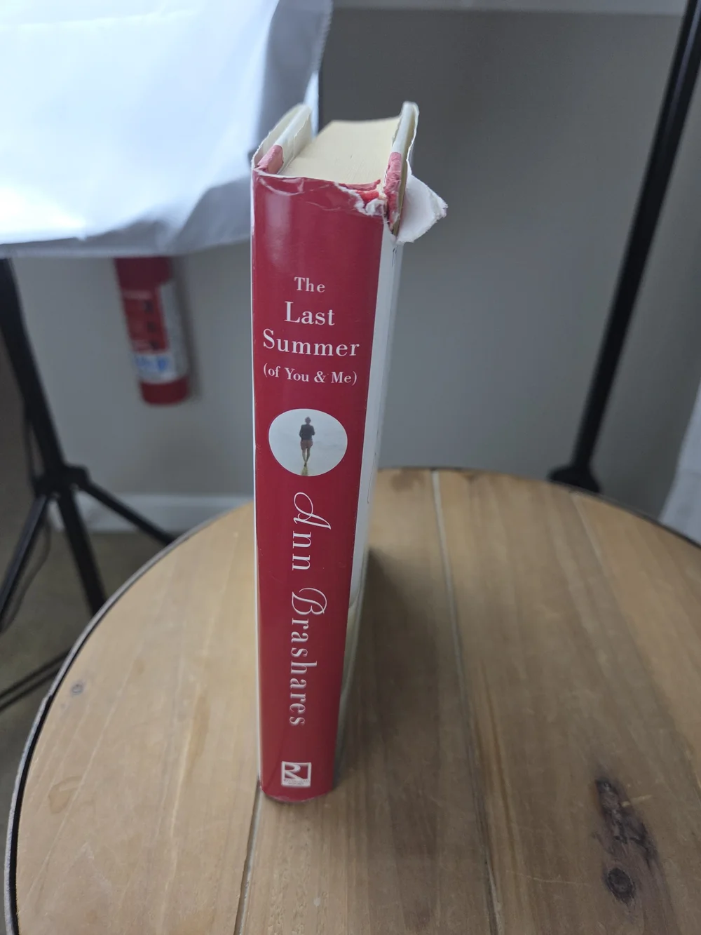 Hardback ..Ann Brashares 